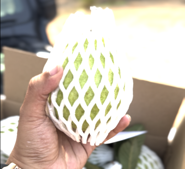 Thai-Pink Guava, 3Kg Box